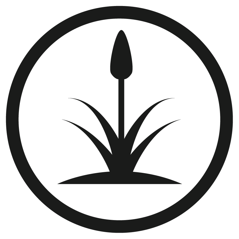 Icono de terreno Pantano
